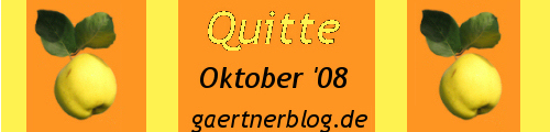 GKE_Oktober08_500x120