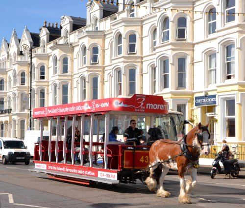 IsleOfMan2011HorseTram.jpg