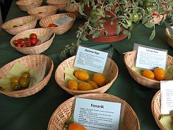 KurpfaelzischeGemueseschau2010Tomaten3.jpg