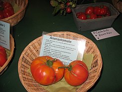 KurpfaelzischeGemueseschau2010Tomaten4.jpg