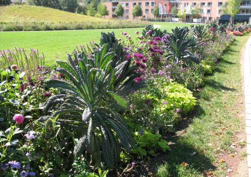 Nagold2012BeetMitGruenkohl.jpg