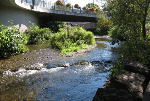 Nagold2012Waldach.jpg