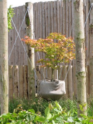 Floriade2012HaengenderBaum.jpg