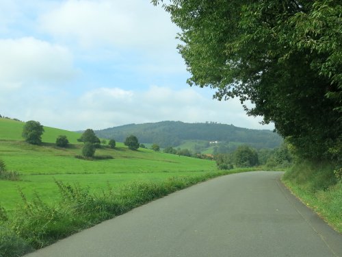 Odenwald1.jpg