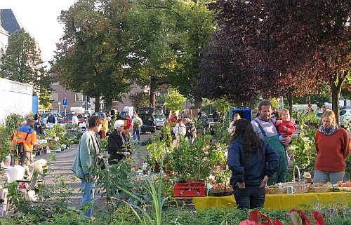 PflanzenflohmarktSeeheim_Sept2009.jpg