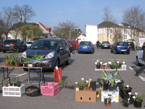 PflanzenflohmarktWehen_April2012.jpg