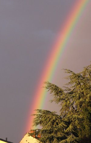 Regenbogen2009.jpg