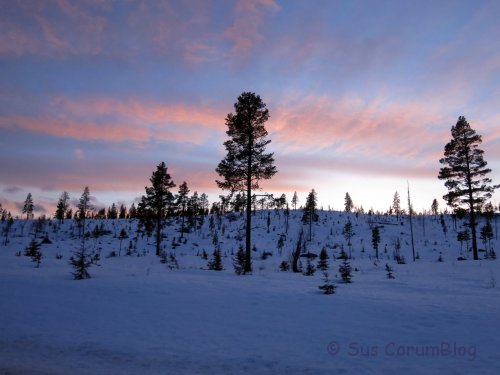 Schweden2017_Sonnenuntergang.jpg