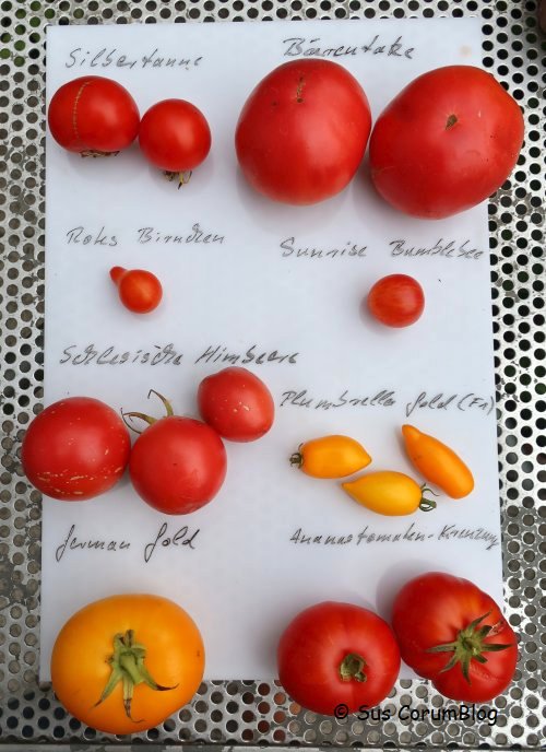 Tomaten2019_2.jpg