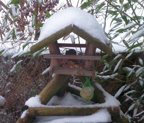 Winter2013_MausImVogelhaus.jpg