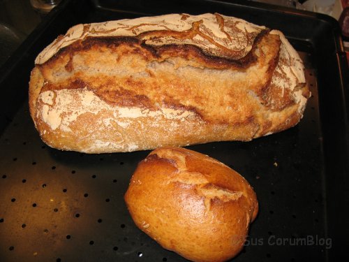 DinkelSauerteigBrot.jpg