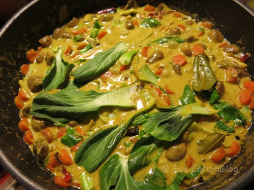 ThaiCurryGelbMitPakChoi.jpg