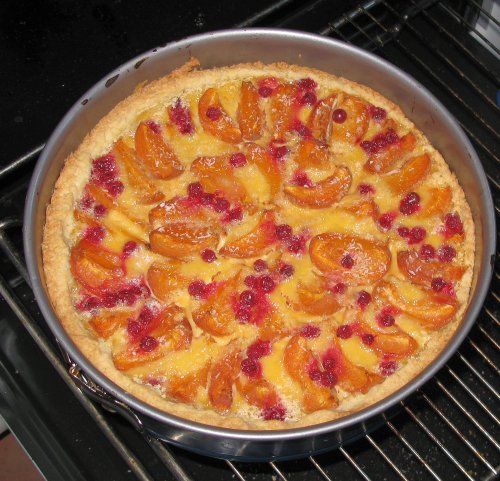 AprikosenJohannisbeerKuchen.jpg