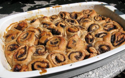 Mohnschnecken2012.jpg