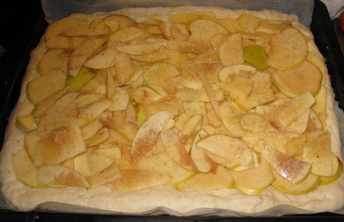 QuittenStreuselkuchen2011_1.jpg