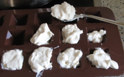 Das hätte sich die Pralinenform auch nicht träumen lassen... ZiegenFrischkaesePralinen.jpg