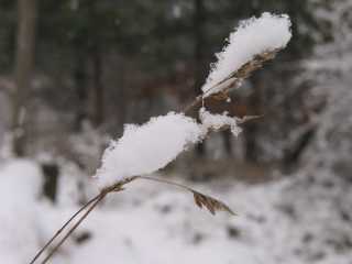 IMG_5139.jpg