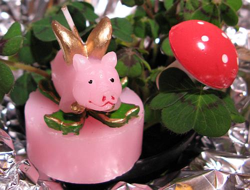 SchweinSilvester2008.jpg