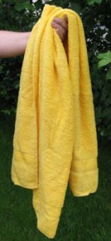 TowelDay2010.jpg