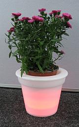 TopfRot.jpg