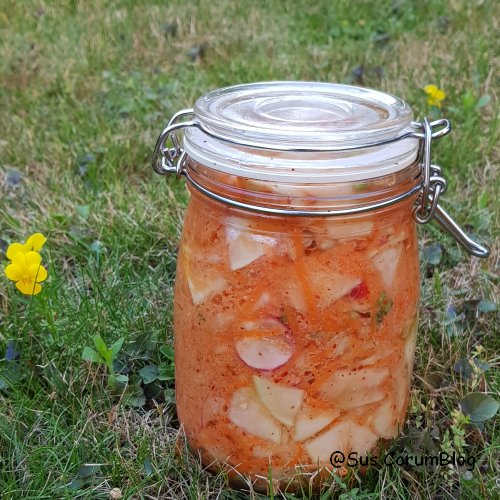 KohlrabiKimchi.jpg