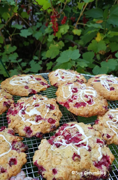 HaferflockenCookiesMitJohannisbeeren.jpg