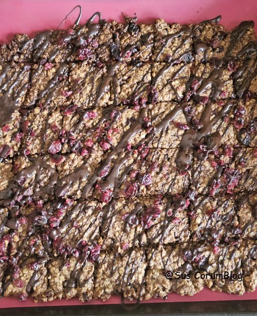 CranberrySchokoladenFlapjacks.jpg