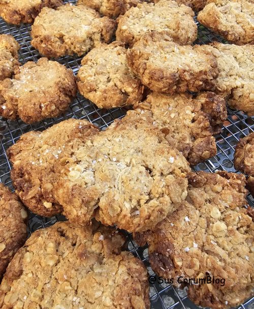 KokosErdnussbutterCookies.jpg