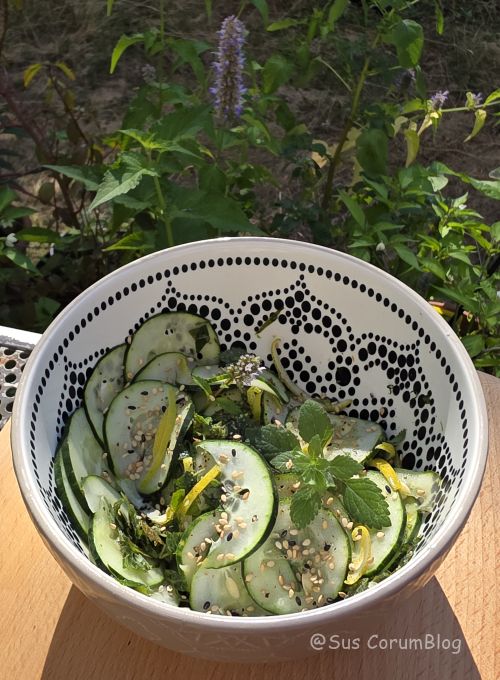 Zitroniger Gurkensalat mit Minze GurkensalatMitMinzeUndZitrone.jpg