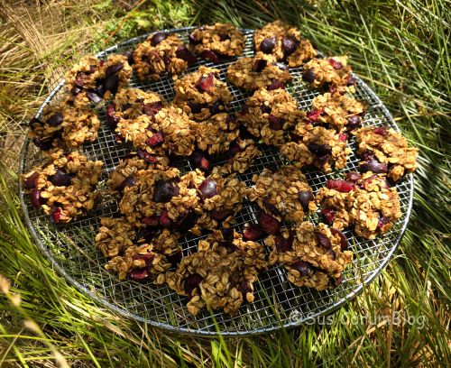 KiBaCookies.jpg