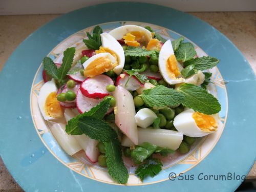 SpargelSalatMitRadieschen.jpg